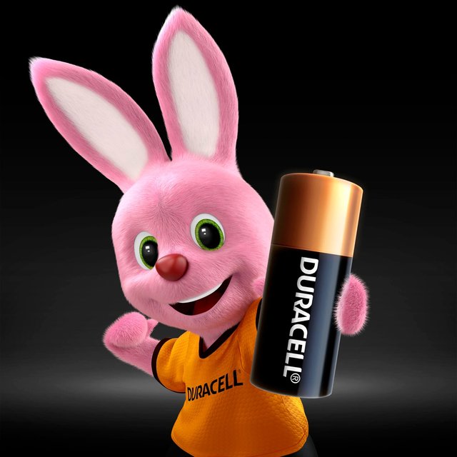 Duracell Specialty N Alkaline Battery   2 per pack GOODS M&S   