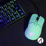 STEALTH gaming mouse Mint USB RGB, imported from the UK