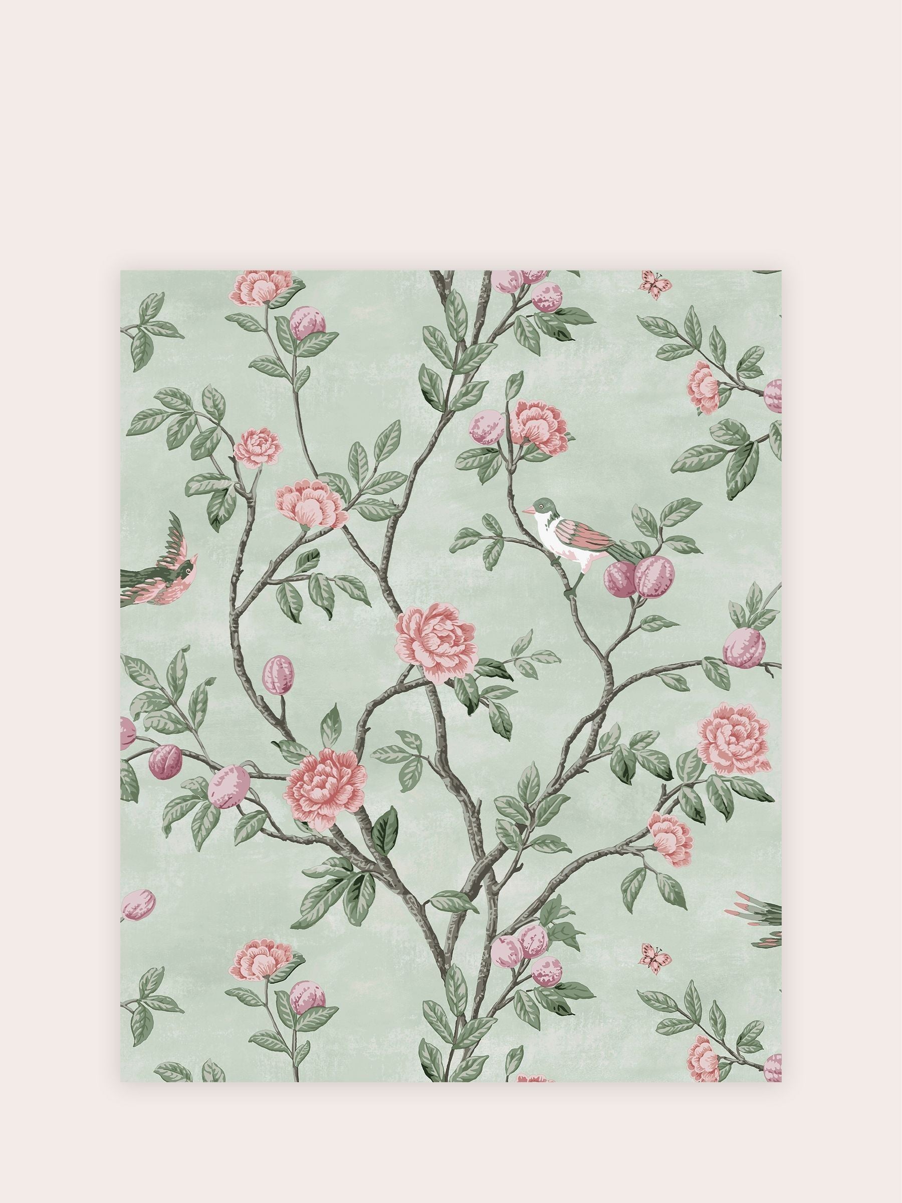 Laura Ashley Eglantine wallpaper sample in Eau de Nil - British product
