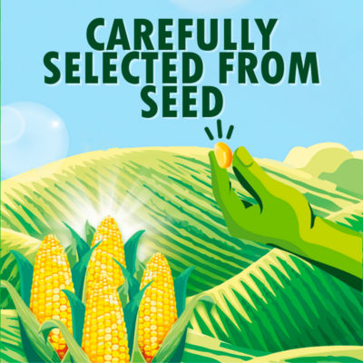 Green Giant salt free sweet corn kernels 4 x 198g cans, UK version