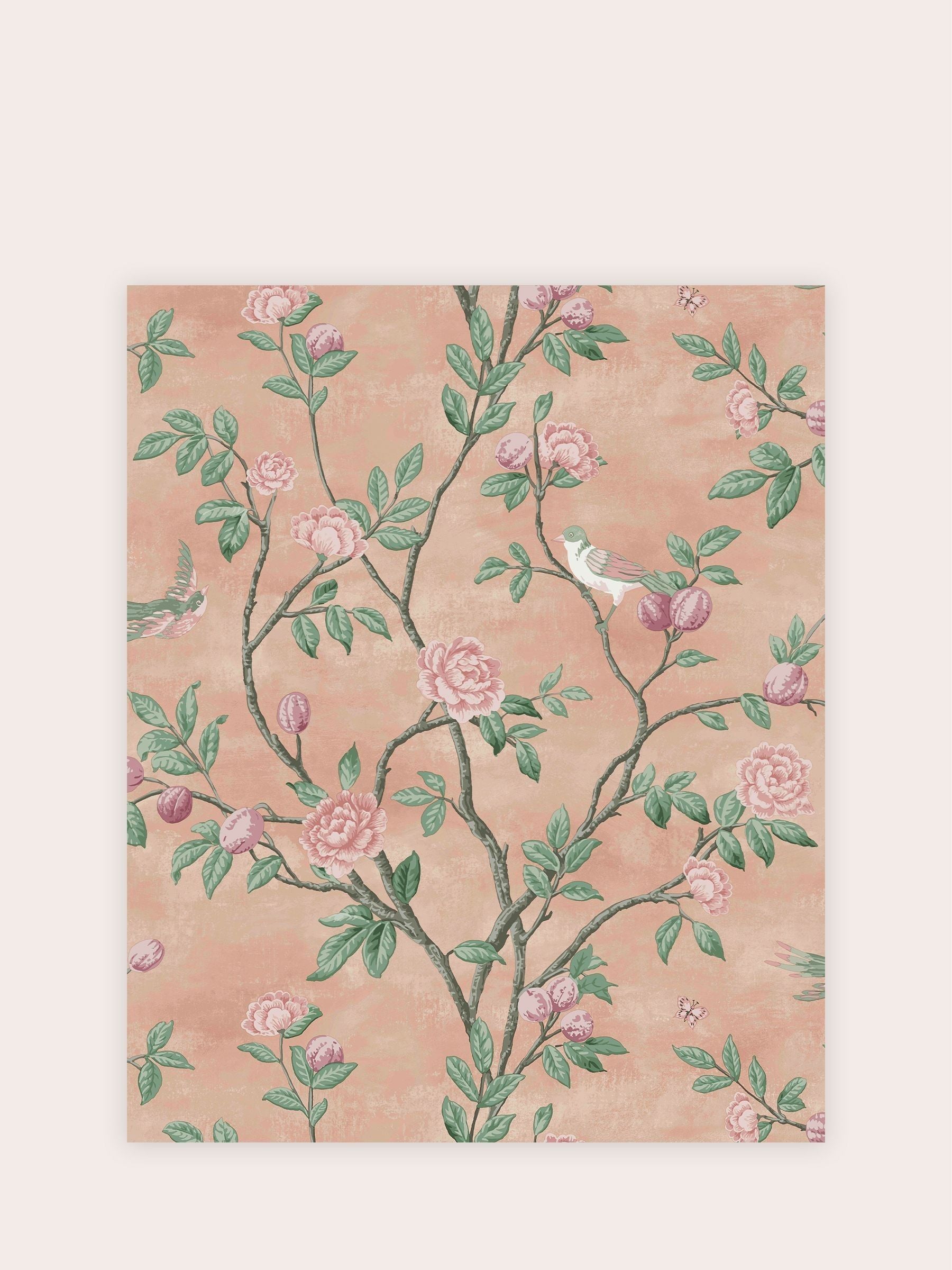 Laura Ashley Blush Eglantine A4 wallpaper sample, imported from the UK