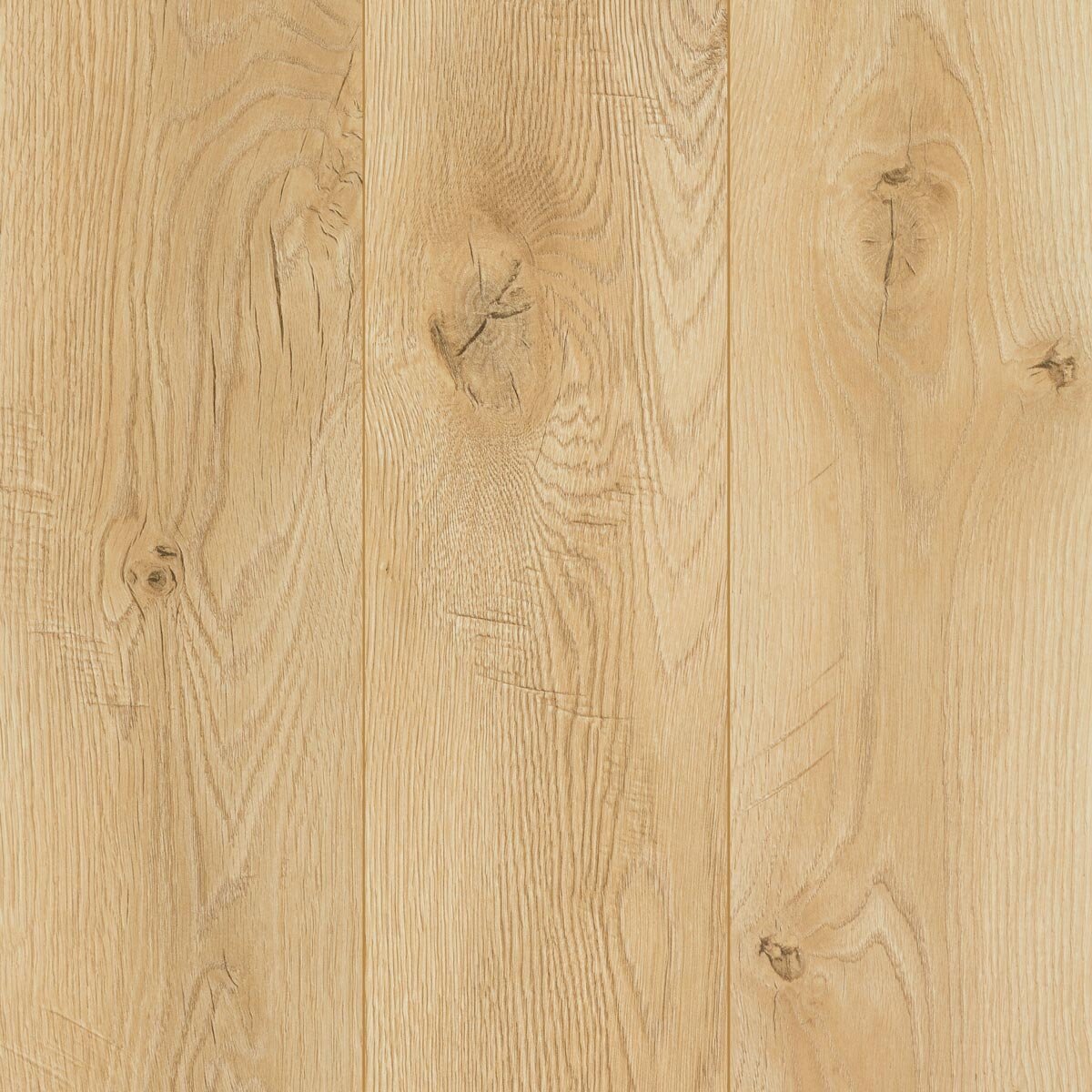 Golden Select Oslo light oak laminate flooring pack 1.146 m², UK version
