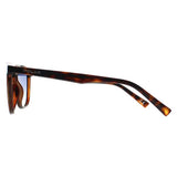 Polar Echo brown gradient unisex sunglasses (British brand)
