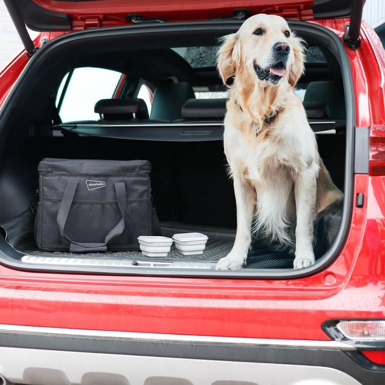 Streetwize pet travel kit small, imported from the UK