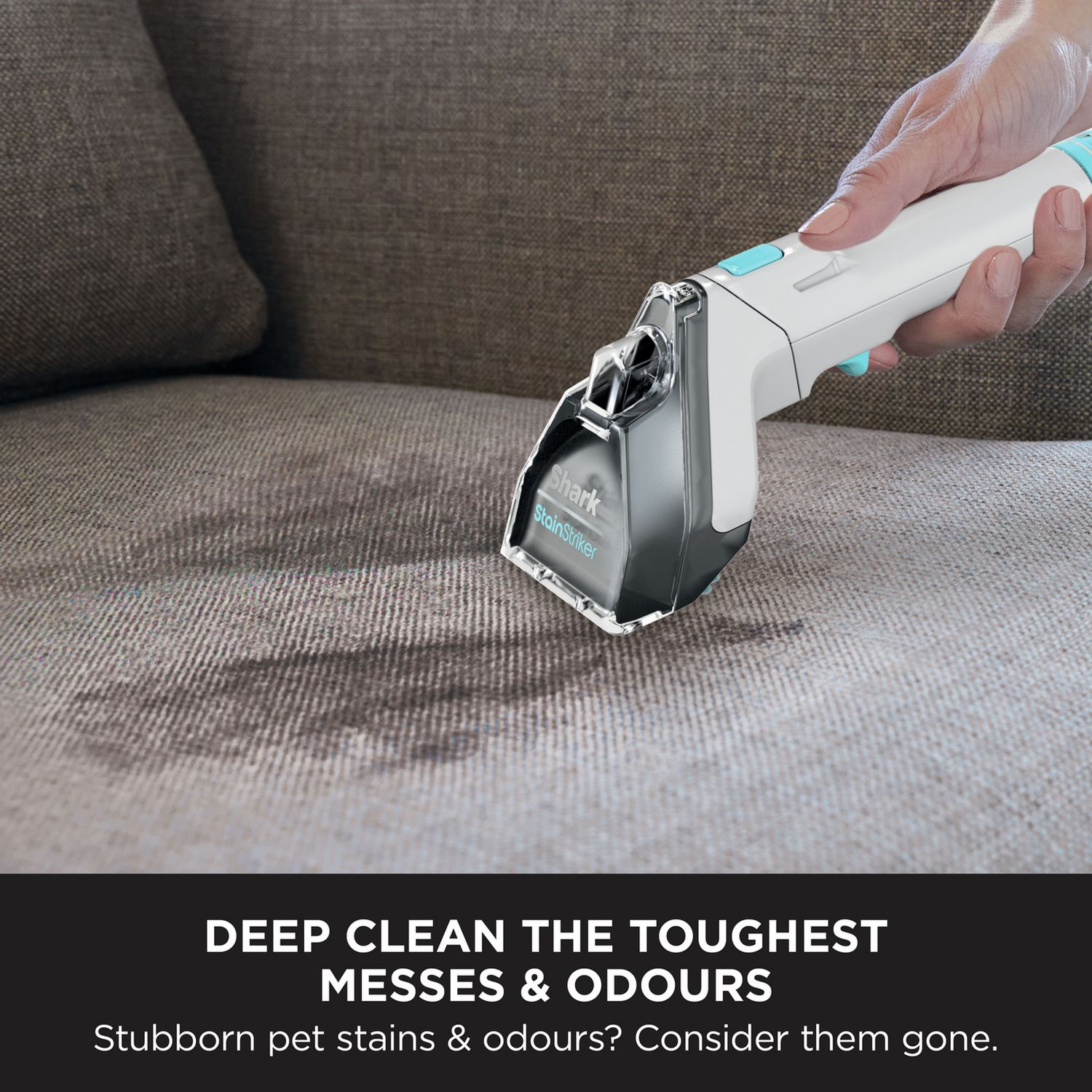 Shark StainStriker Pet Spot carpet cleaner - British product