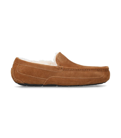 UGG Wildleder Ascot Hausschuhe