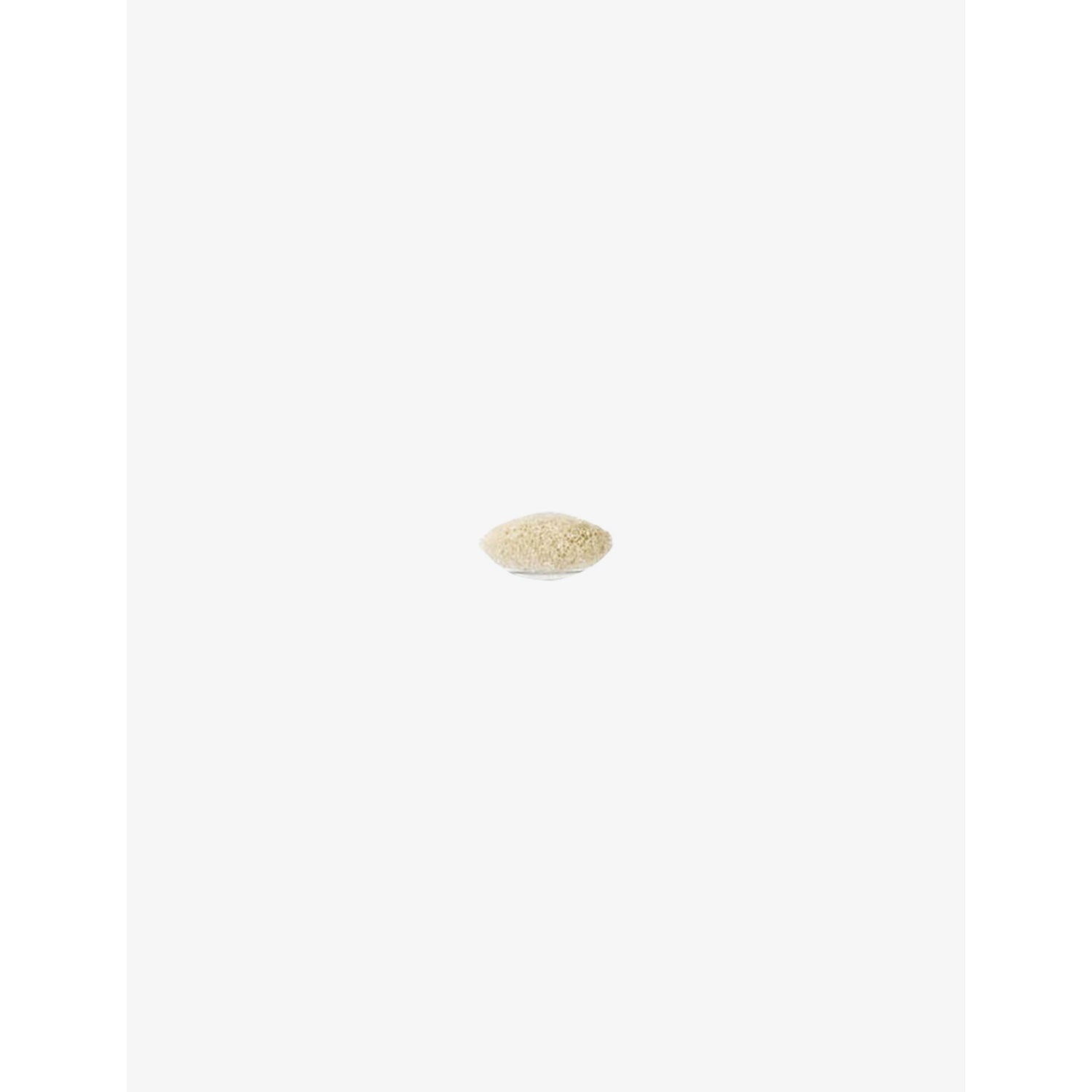 MAC eye shader brush 239S - British product