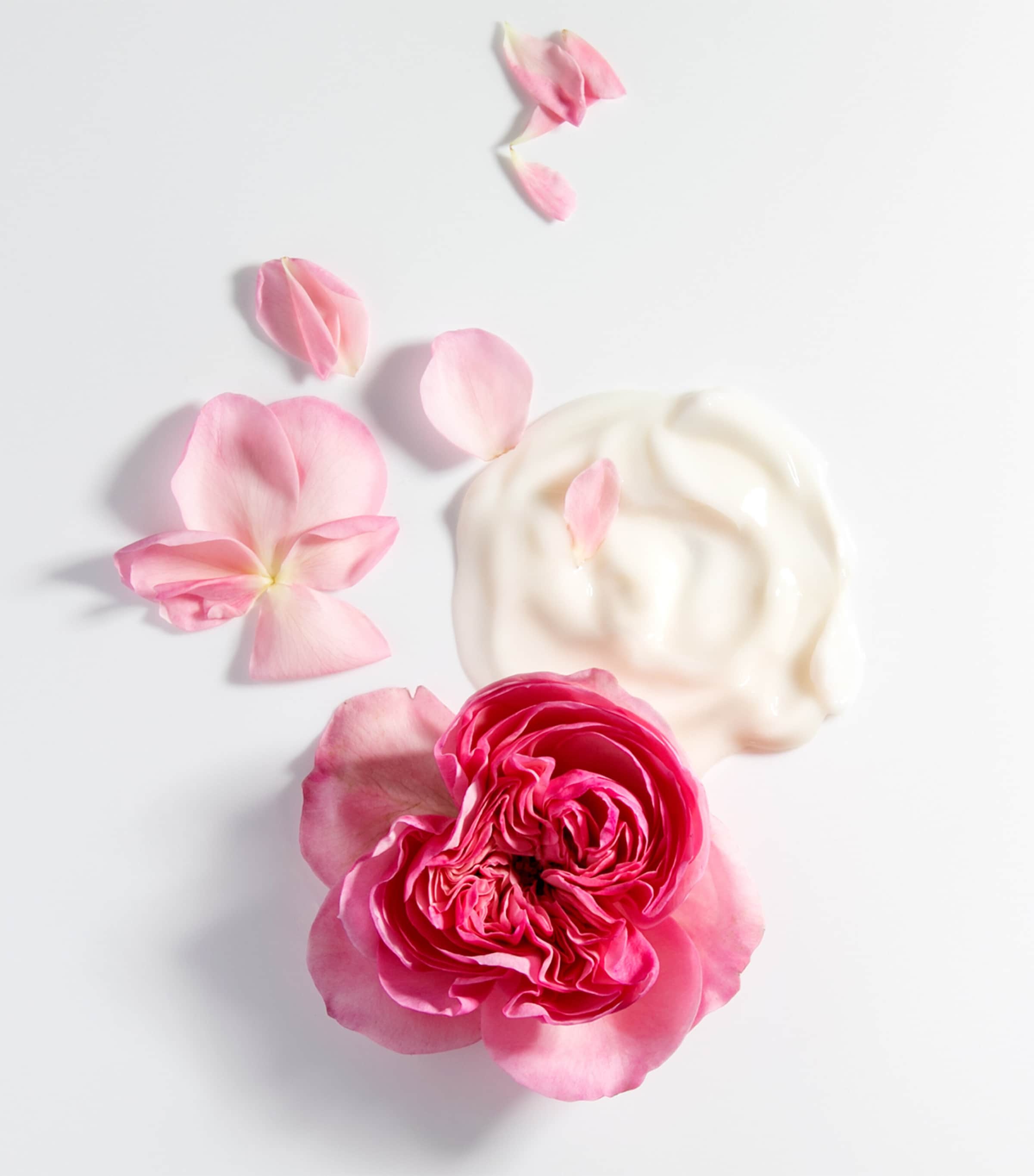 Chantecaille La Crème à la Rose de Mai moisturiser cream - British product