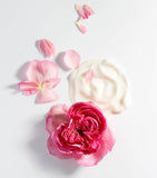 Chantecaille La Crème à la Rose de Mai moisturiser cream - British product