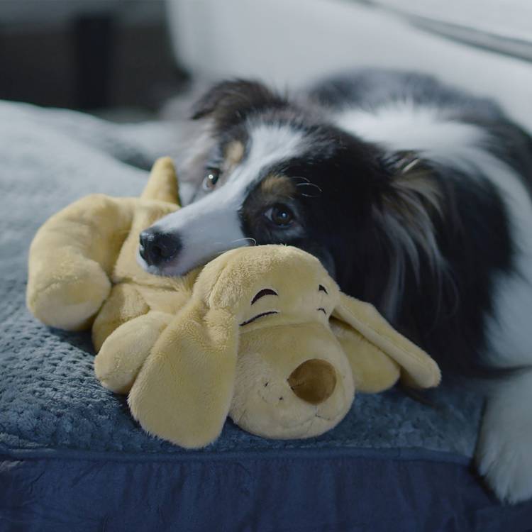 JML Golden Huggie Pup dog plush toy, imported from the UK