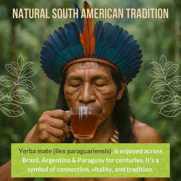 Rio Amazon Yerba Mate teabags 40 count, imported from the UK