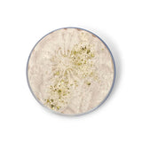 Sassy Scents gingerbread whipped soap 115g (British brand)