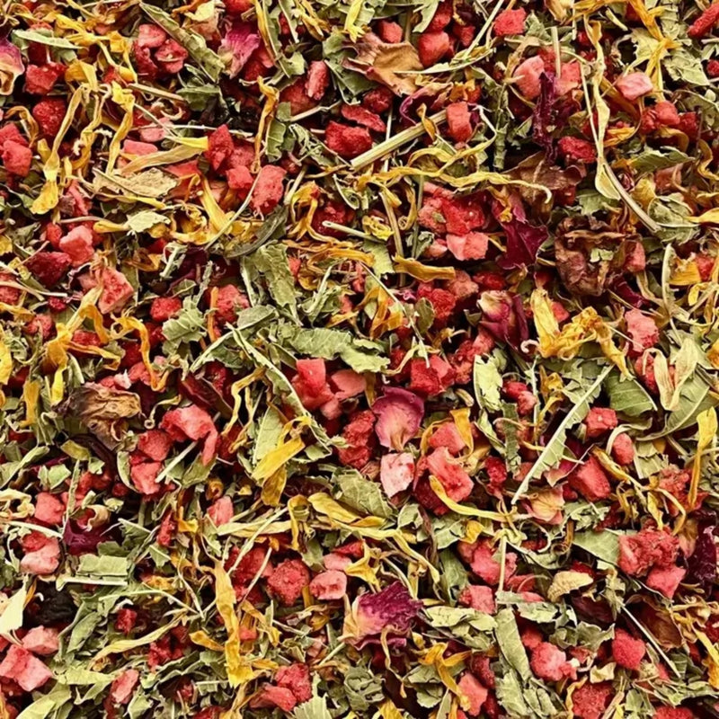 Holly Botanic Strawberry & Lemon Verbena Tisane 20 Cup Loose - British product