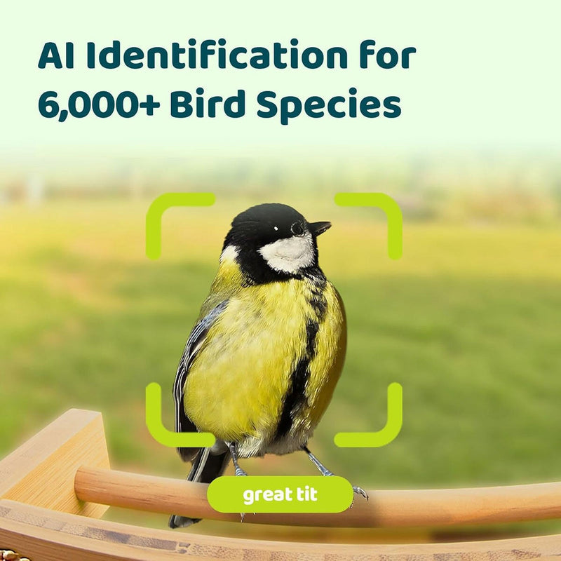 Birdfy bamboo bird feeder with solar panel and HD camera - British product
