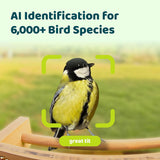 Birdfy bamboo bird feeder with solar panel and HD camera - British product