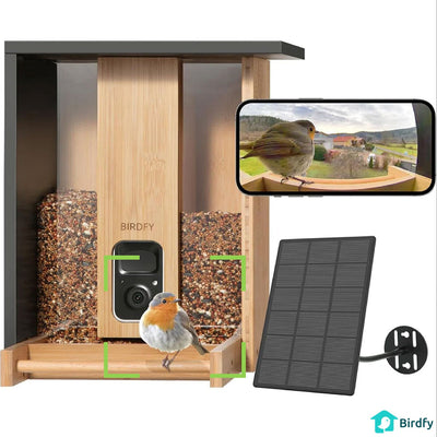 Costco UK Birdfy Bamboo Bird Feeder with Solar Panel, HD Camera and Lifetime AI Access- Buy online at McGrocer