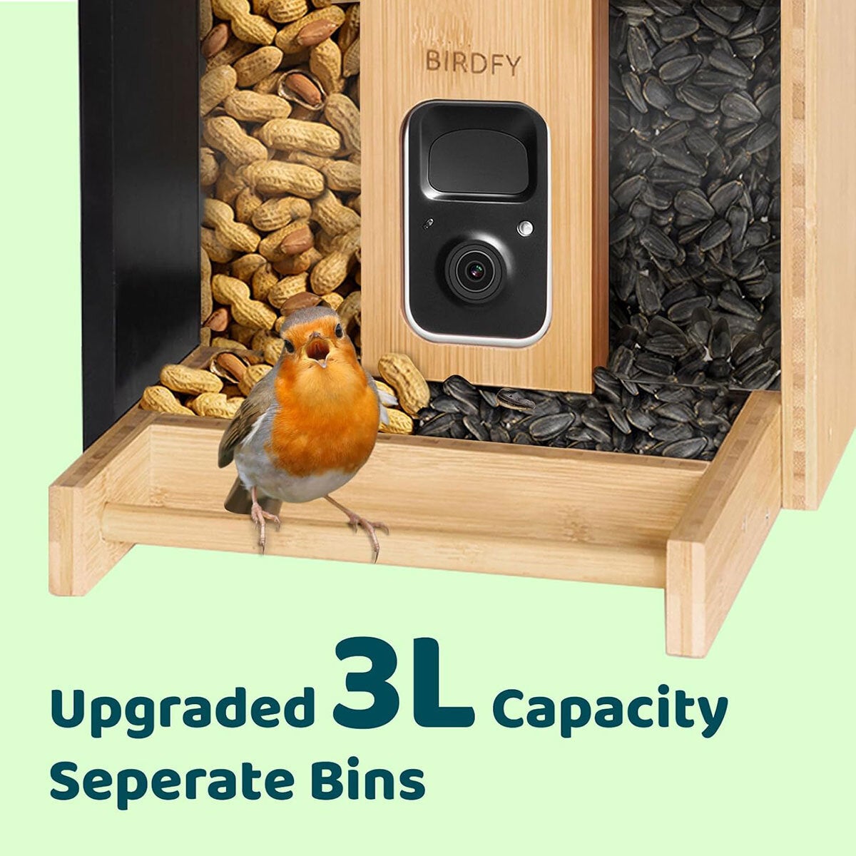 Birdfy bamboo bird feeder with solar panel and HD camera - British product