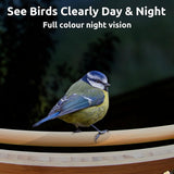 Birdfy bamboo bird feeder with solar panel and HD camera - British product