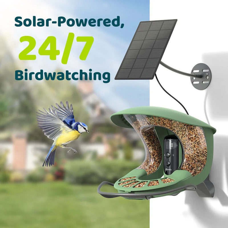 Birdfy Feeder 2 Pro smart bird feeder with solar panel (British brand)