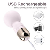 Honey Play Box Pokewan pocket mini vibrating wand massager, UK version