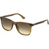 Police SPL872N brown acetate sunglasses (British brand)