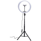 Rio Professional RGB LED ring light Large, imported from the UK