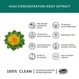 Together Health Rhodiola rosea adaptogen supplement 30 capsules (British brand)