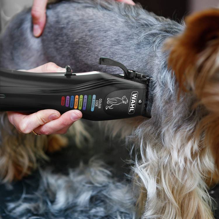 Wahl Colour Pro dog clipper kit for grooming (British brand)