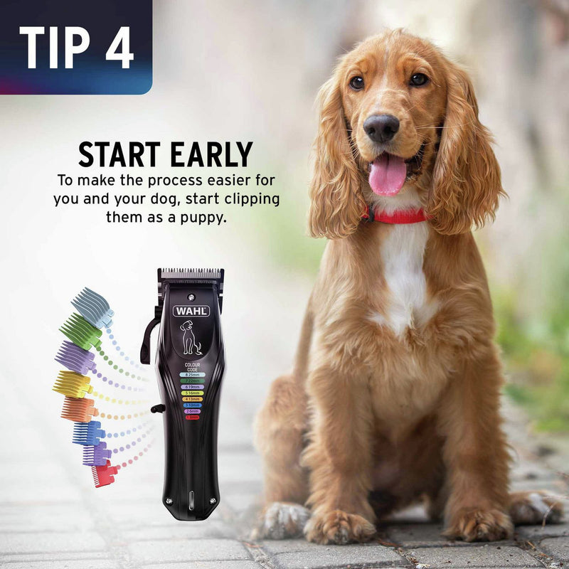 Wahl Colour Pro dog clipper kit for grooming (British brand)