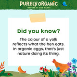 Purely Organic free range eggs x10 540g, imported from the UK