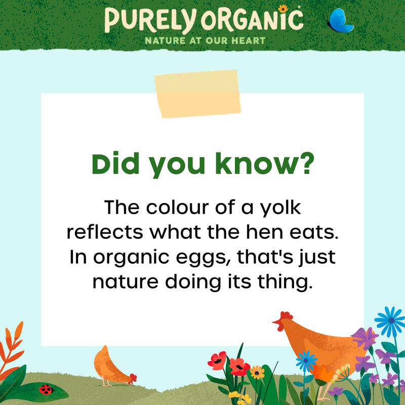 Purely Organic free range eggs x10 540g, imported from the UK