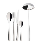 Stainless Steel 49-Piece Cutlery Set with Ergonomic Handles and Wooden Box