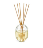 34 Boulevard Saint Germain Diffuser and Refill