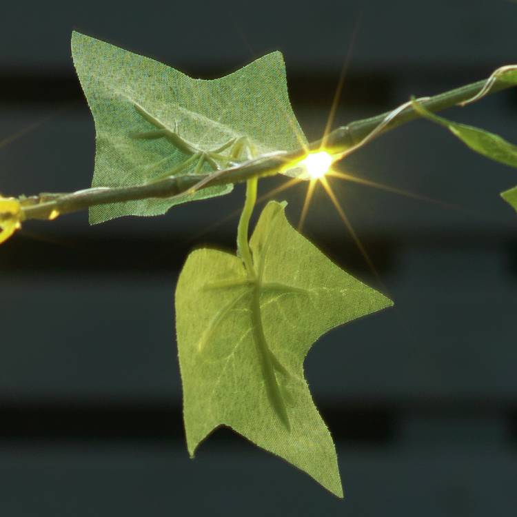 Sainsbury's 20 Ivy solar string lights 4m, UK version