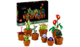 LEGO Tiny Plants botanical set 10329, imported from the UK