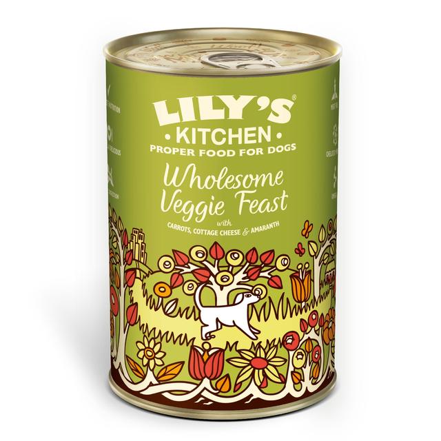 Lily's Kitchen Wholesome Veggie Feast for Dogs   375g