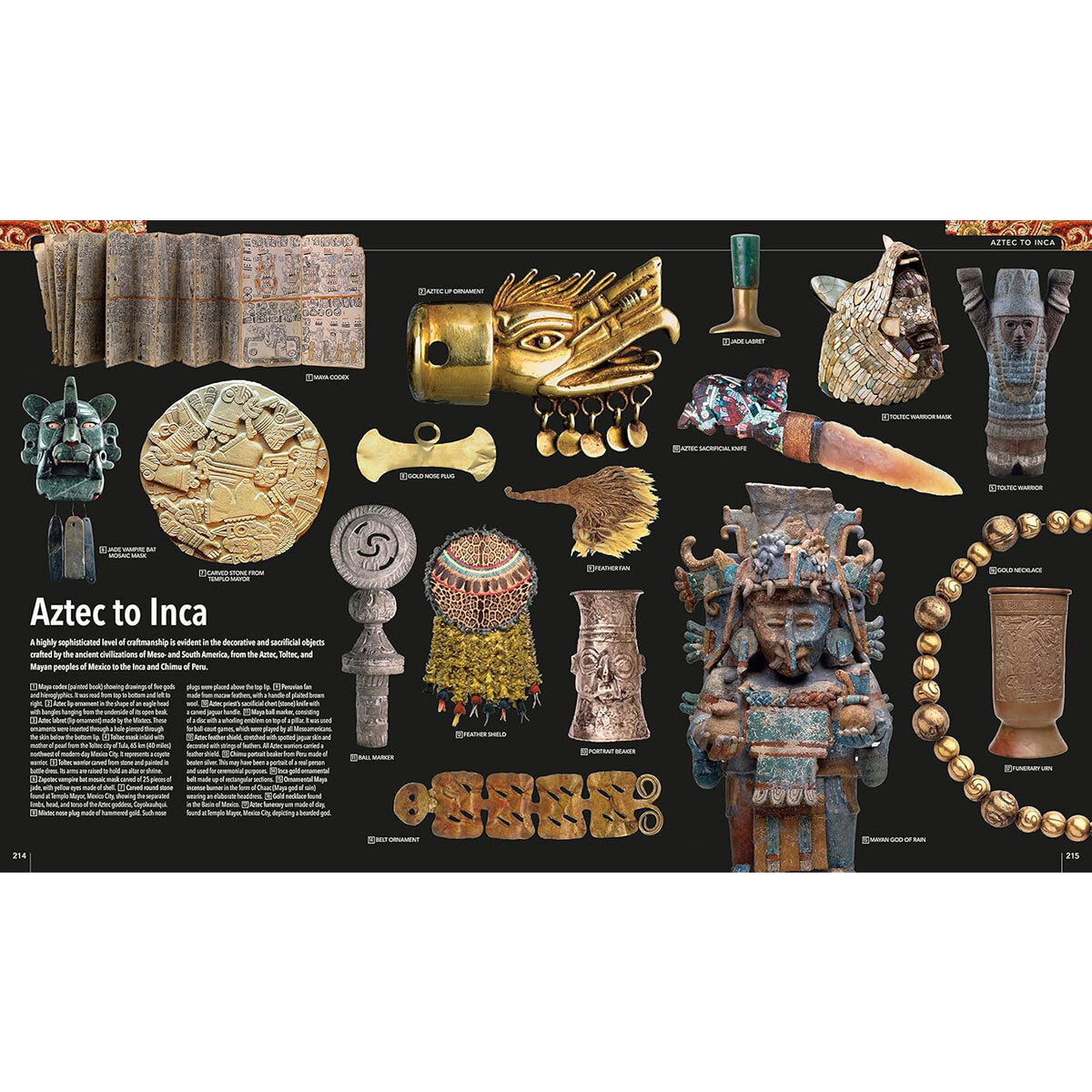 DK photographic encyclopedia hardback animal history, UK version