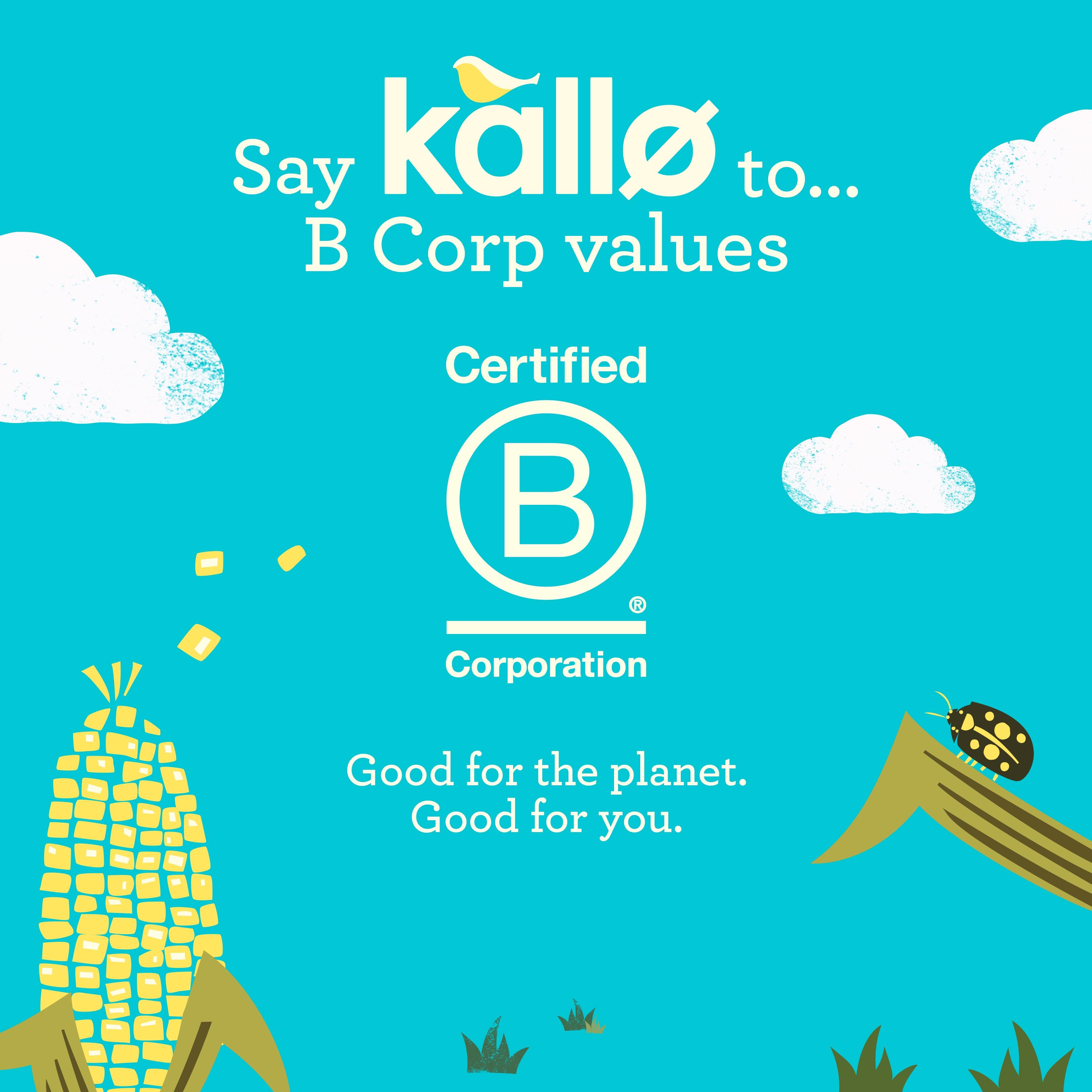 Kallo lightly salted corn cakes 130g, imported from the UK
