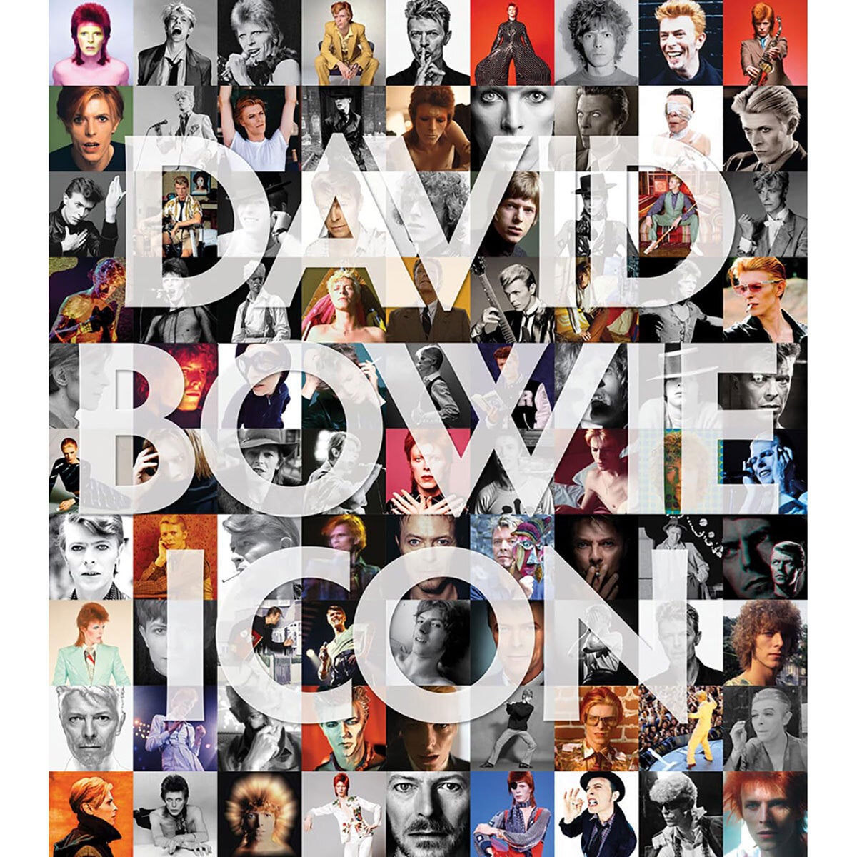 David Bowie or Prince Icons The Definitive Photographic Collection Hardback Book