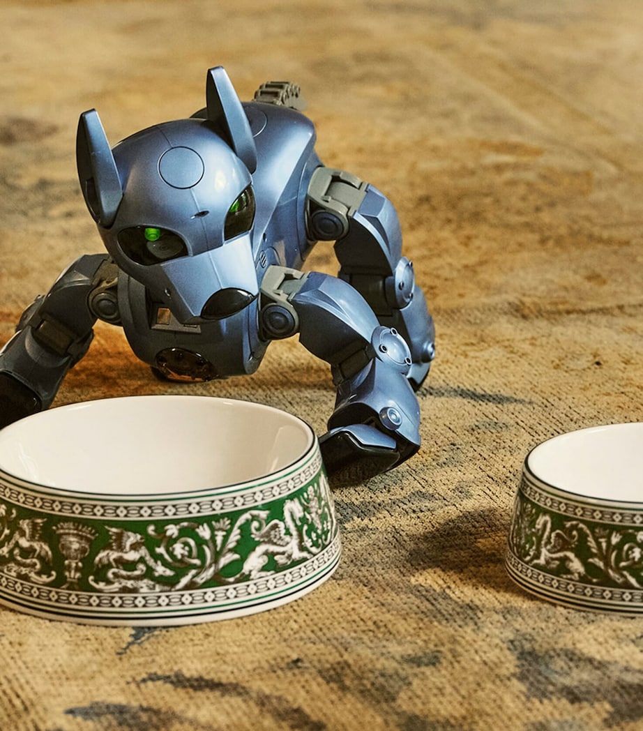 Wedgwood Florentine pet bowl 17cm, imported from the UK