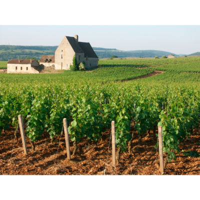 Louis Jadot Les Petites Pierres