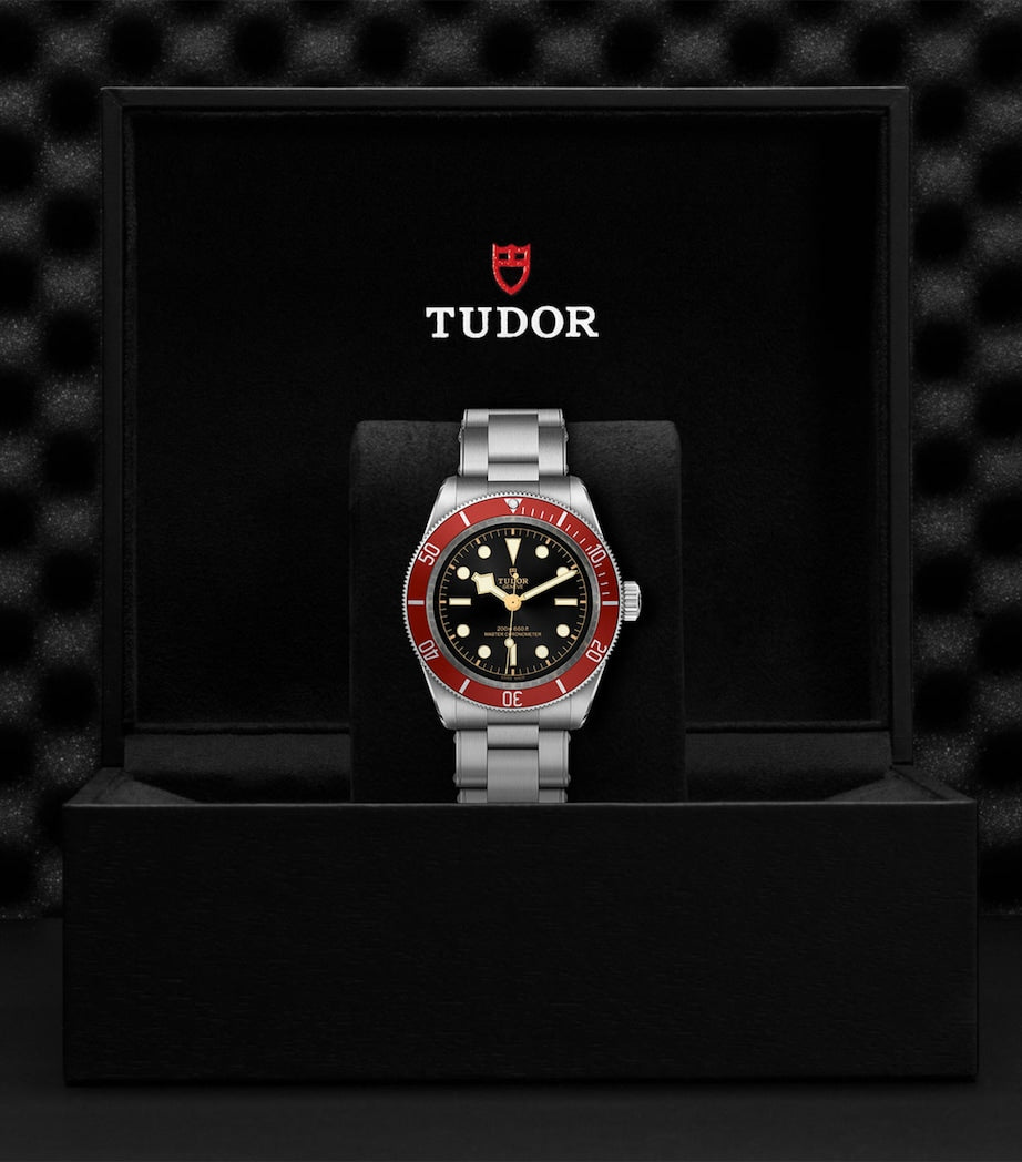 Tudor Black Bay 41mm stainless steel watch (British brand)