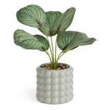 Habitat Artificial Calathea in Ceramic Bobble Pot -Grey GOODS Sainsburys   