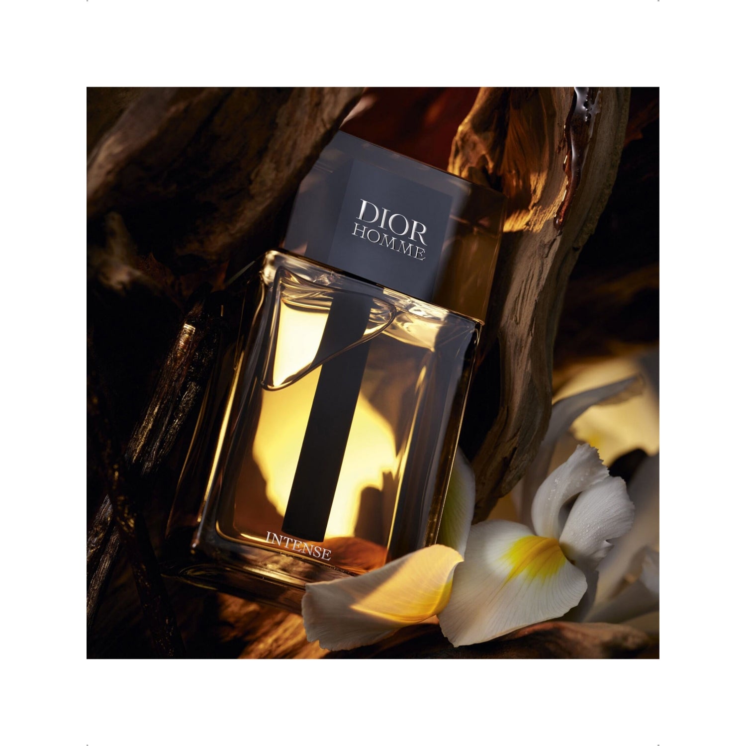 Dior Homme Intense eau de parfum 50ml (British brand)