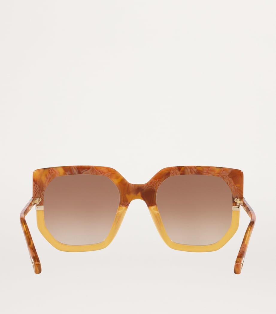 Chloé acetate sunglasses CH0240S (British brand)