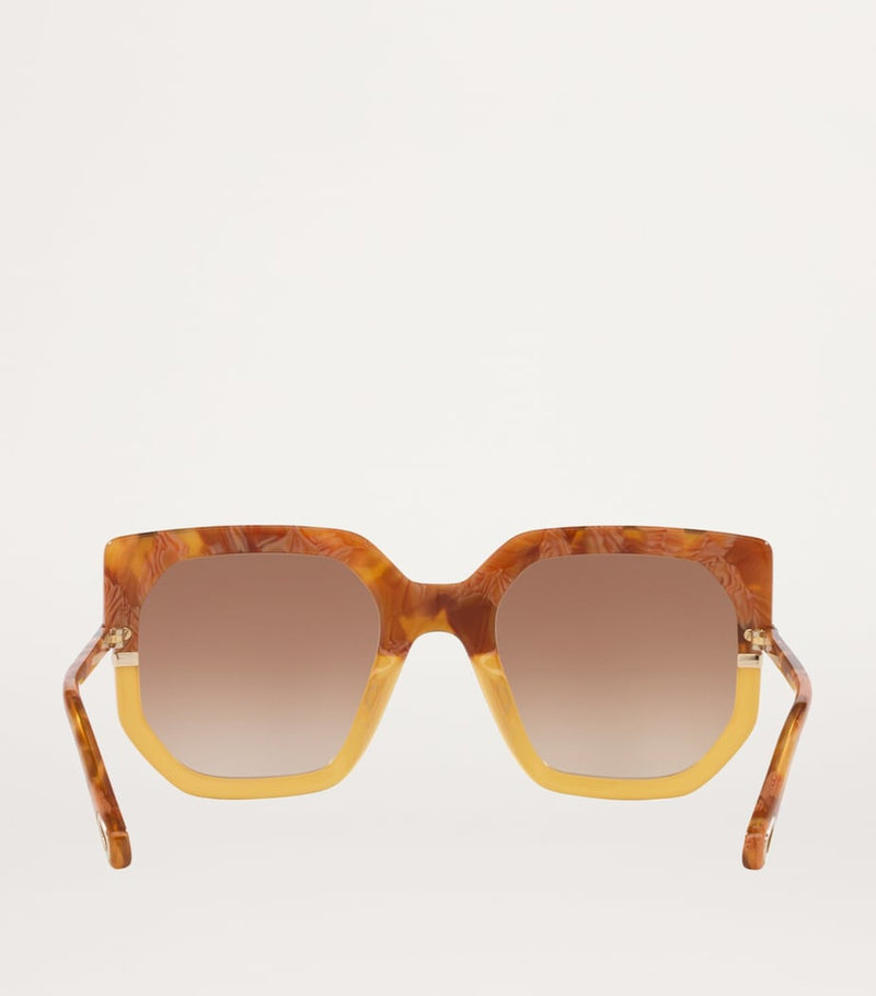 Chloé acetate sunglasses CH0240S (British brand)
