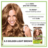 Garnier Nutrisse permanent hair dye 6.3 Golden Light Brown, imported from the UK