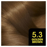 Garnier Olia Olia 5.3 Golden Brown: 100% Grey Coverage, No Ammonia, for a radiant golden hue.