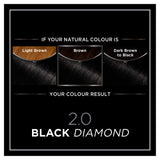 Garnier Olia Black Diamond hair dye, UK version