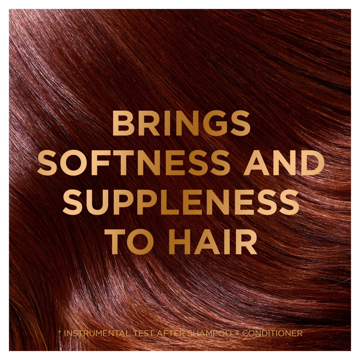 Garnier Ultimate Blends Argan Richness vegan shampoo dry hair 400ml, UK version